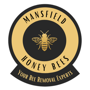 Mansfield Honey Bees Logo